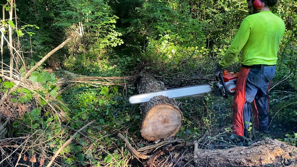 Latest company case about U.S. Worker Praises Our 070 Chainsaw for Its Outstanding Performance!