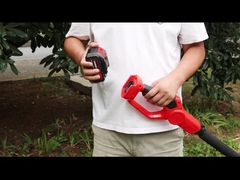 telescopic pole chainsaw