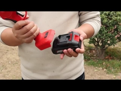 Auston  AES20-4 Pruner