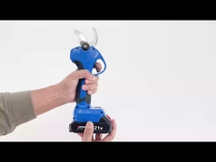 Auston AES30-5 pruner