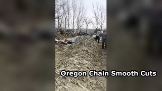 Oregon Chainsaw Chain: Smooth Cuts, Lasting Performance