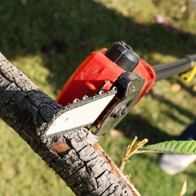 180-300cm Reach Extendable Battery Pole Saw For High Branch Pruning