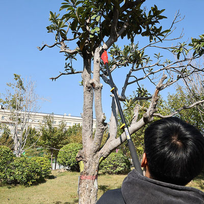 Essential Tool Professionals Adjustable Telescopic Pole Chainsaw For Tree