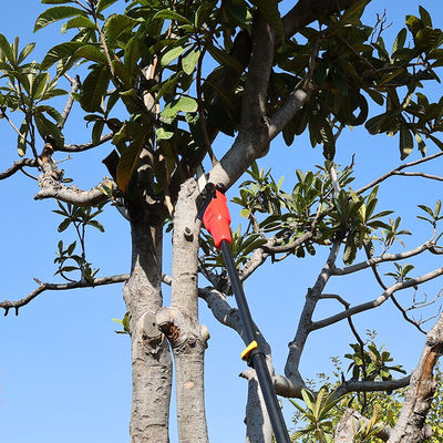 Pole Saw 6-Inch Cordless 300cm Max Reach Electric Pole Saw For Tree Trimming