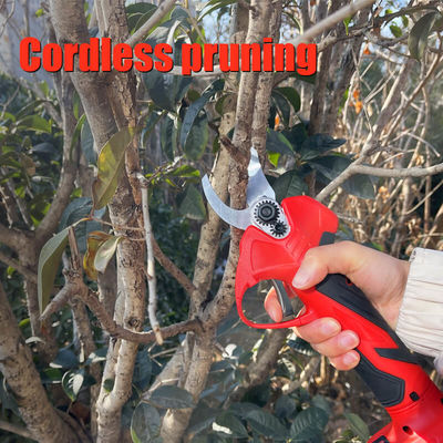 Electric High Branch Pruning Set Lithium Battery Cordless Handheld Telescopic Pole Tree Branch Pruning Shear Pruner