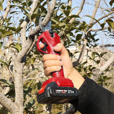 Long Reach Gardening Tree Branch Cut Cordless Pruning Powered Electric Shears
