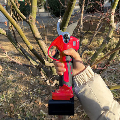 Electric DIY Garden Pruning Cutter Cordless Lithium Power Tree Branch Pruner Telescopic Pole Scissor