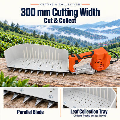 Cordless Electric Tea Plucking Machine with 21V Battery 350W Power and 18000r/min Speed